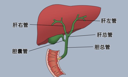 建水共享电单车-怀孕期间着凉发烧网- 怀孕期间着凉发烧吃什么药知识,分享小规模都是零申报吗