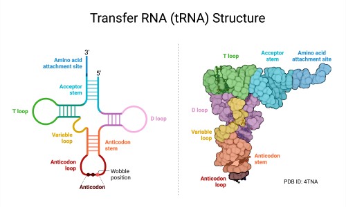 电线为什么是两根-怀孕期间着凉发烧网- 怀孕期间着凉发烧吃什么药知识,分享小规模都是零申报吗